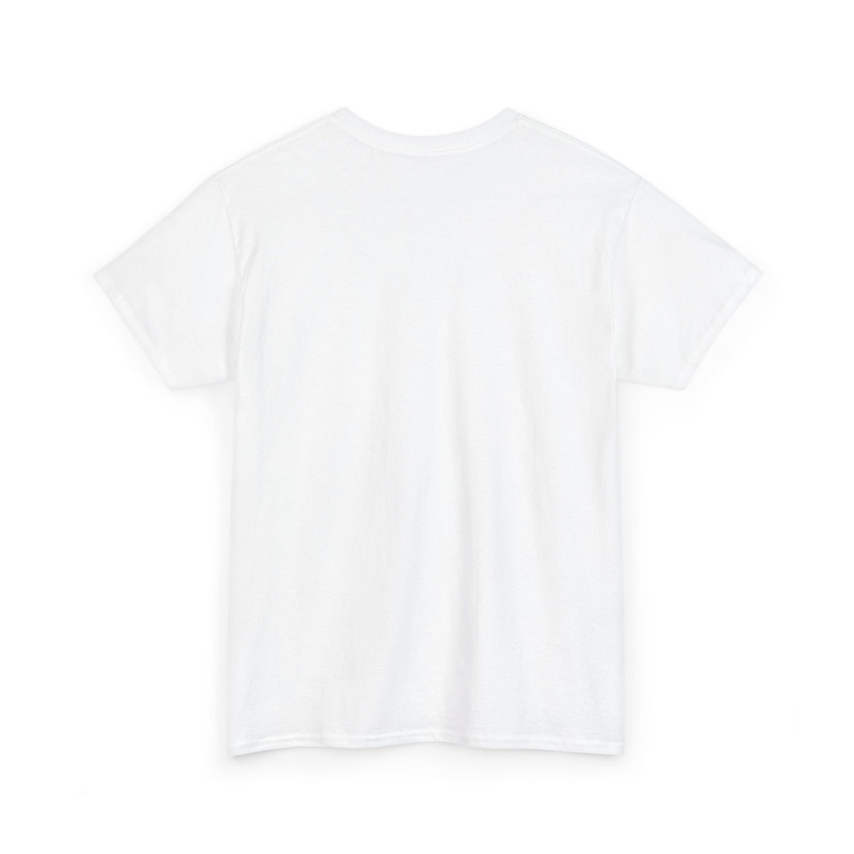 Tech Humor T‑Shirt — "Snapshots Ain't Backups and Backups Ain't DR"